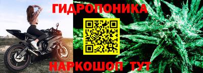 амф Краснознаменск