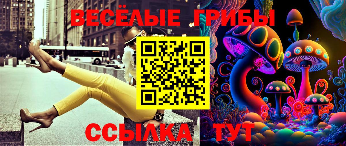 Псилоцибиновые грибы GOLDEN TEACHER Шелехов