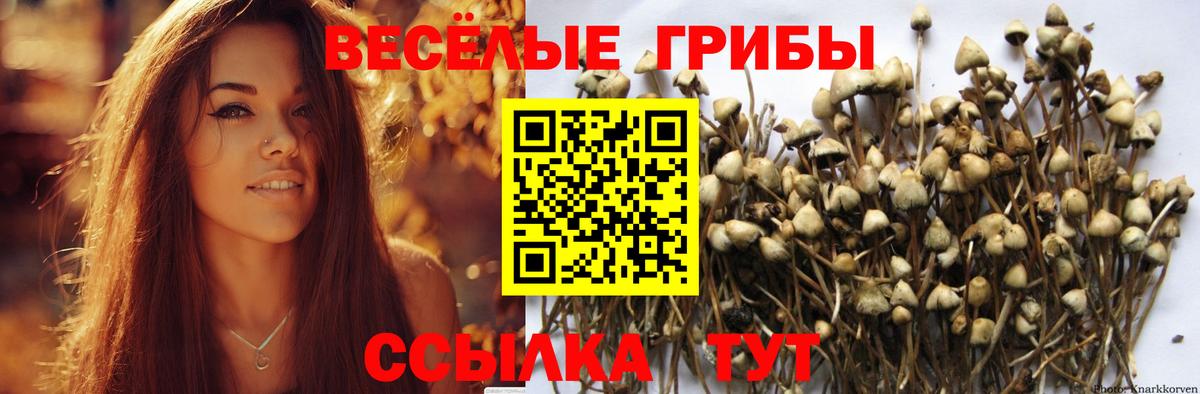 Псилоцибиновые грибы прущие грибы  Галлюциногенные грибы мицелий  Шелехов  Вход с VPN 